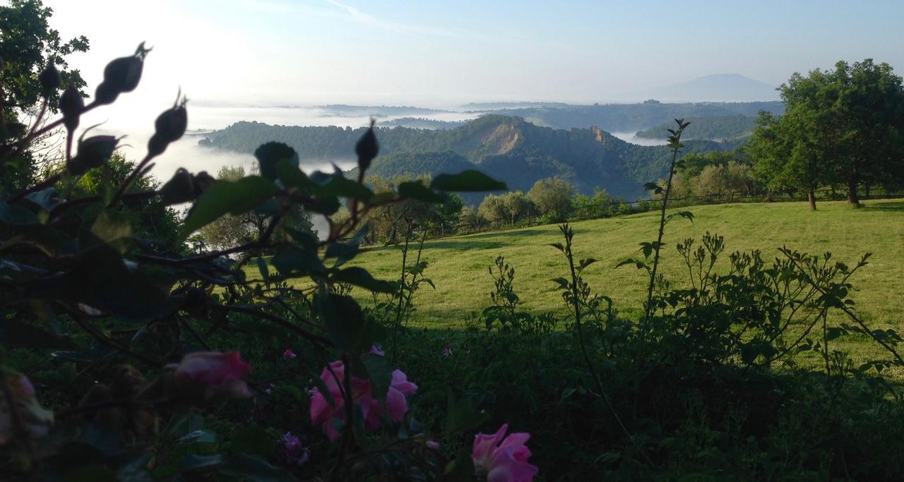 Bed And Breakfast Dopo Il Settimo Cielo Lubriano Kültér fotó