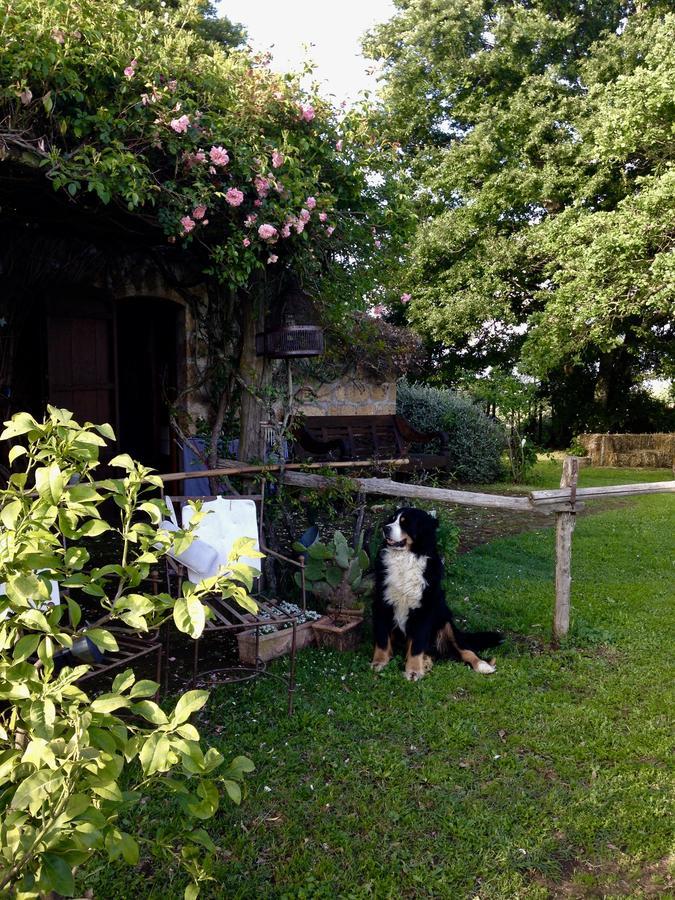 Bed And Breakfast Dopo Il Settimo Cielo Lubriano Kültér fotó